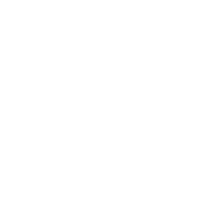 Kia Motors