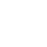 Roger Vivier