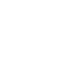 Smart