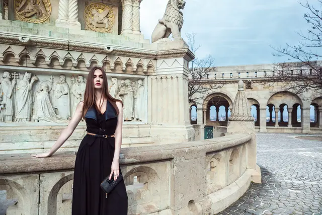 Buda Castle, photo 3 by Olivier Hero Dressen