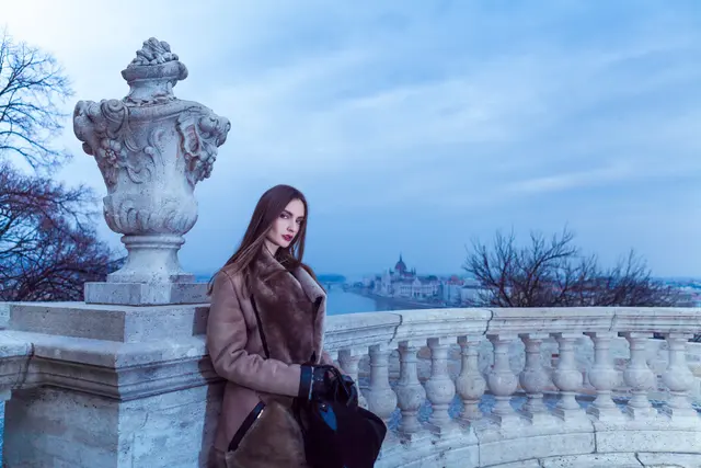 Buda Castle, photo 7 by Olivier Hero Dressen