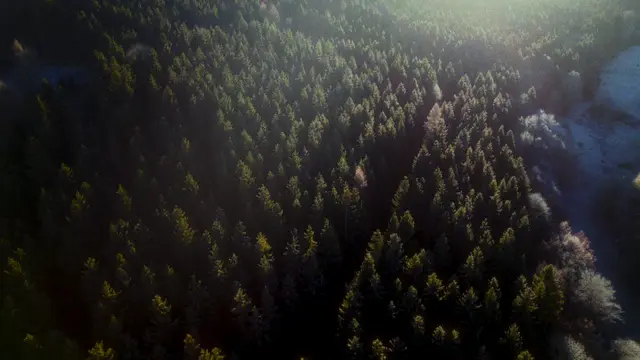 Concept Trailer "Backpacker", still 2