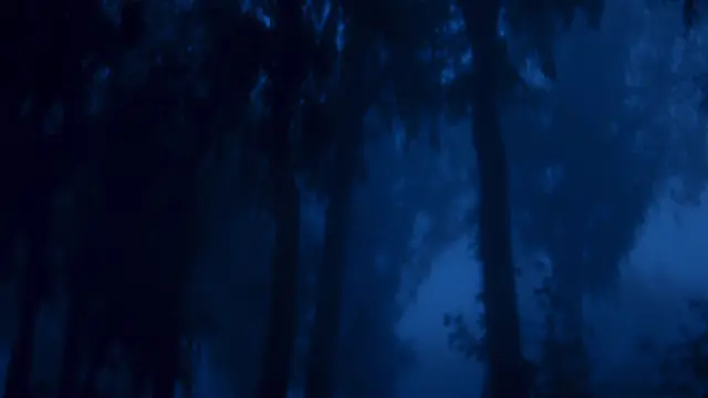 Concept Trailer "Backpacker", still 3