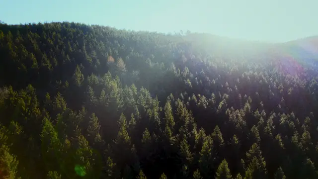 Concept Trailer "Backpacker", still 4