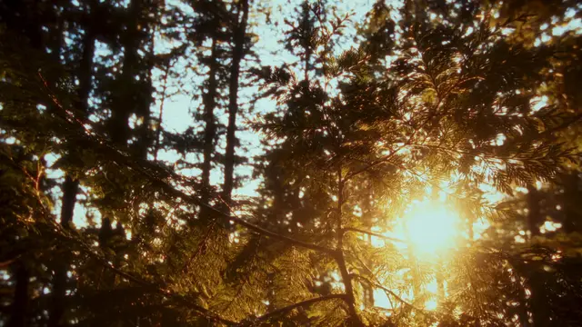 Concept Trailer "Backpacker", still 5