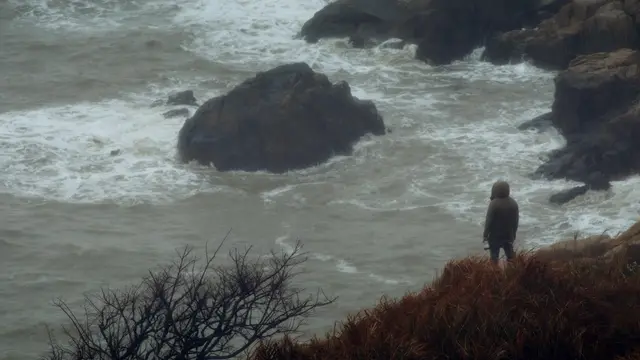Kite, still 7
