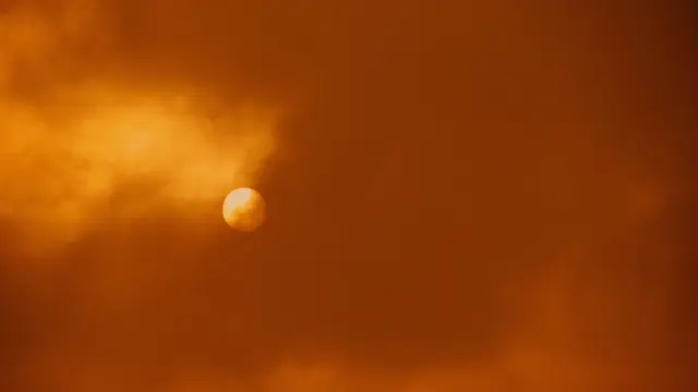 Maxvenn "Harmonica Sunrise", still 12